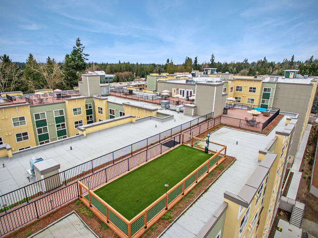 Vista de la terraza y del parque para perros - Destinations Lynnwood 61+ Active Adult Apa...