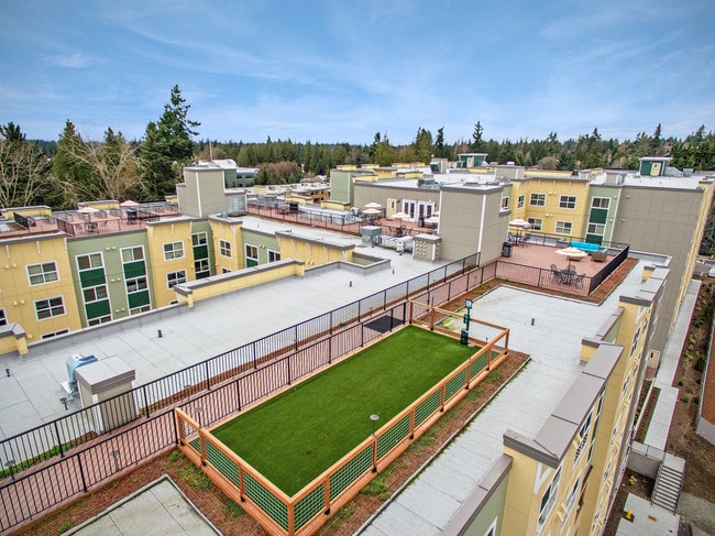 View of Sun Deck and Dog Park - Destinations Lynnwood 61+ Active Adult Apartment Homes