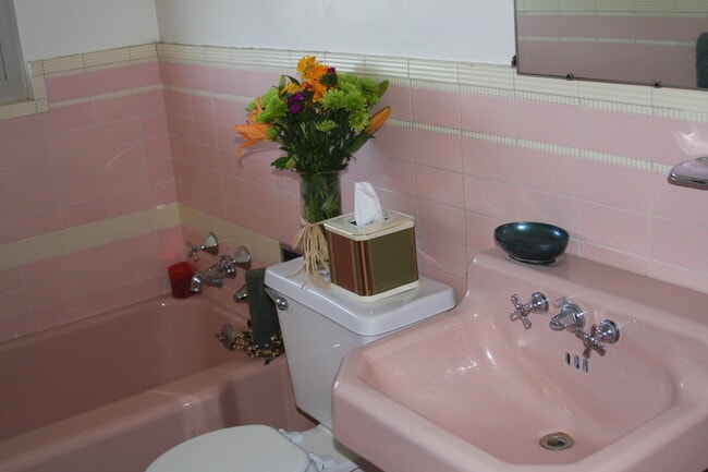 Bathroom - 1051 Whipple Ave