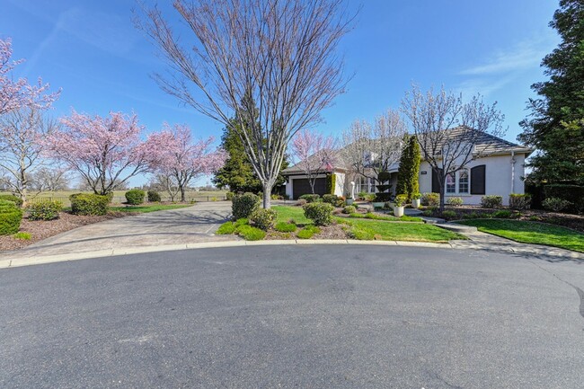 Building Photo - Stunning luxury single story home!