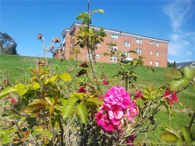 Foto del edificio - 185 Melba St