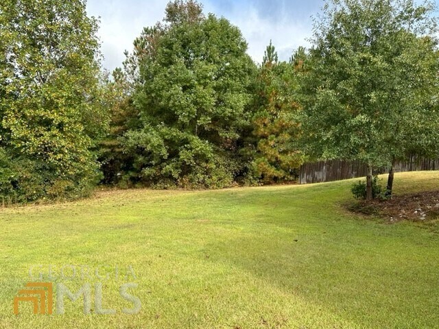 Building Photo - 1132 Ozora Farms Ct