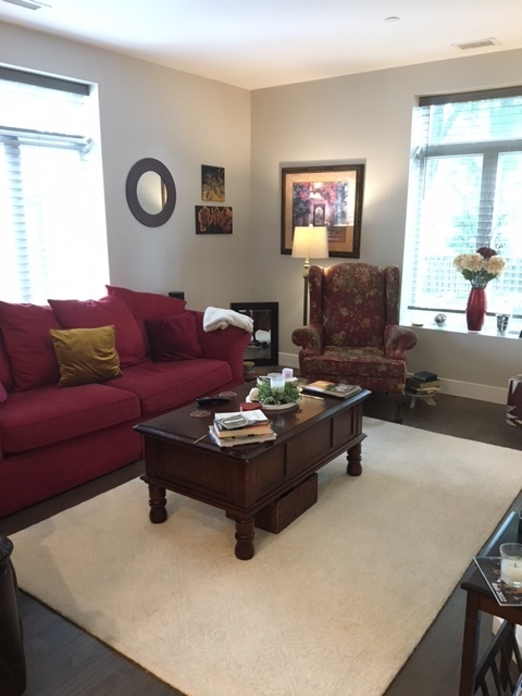 Spacious double aspect living room - 135 Orr St
