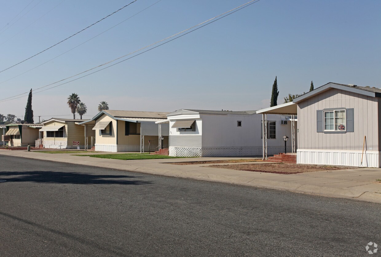 Primary Photo - Royal Palms