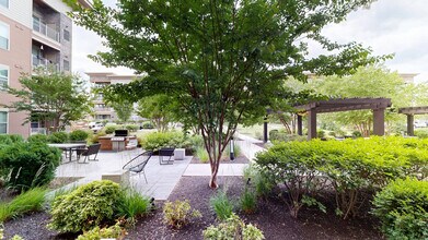 Interior Photo - Park Square