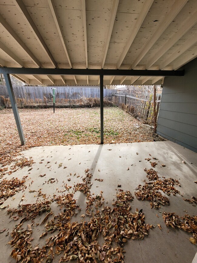 backyard - 224 42nd St SW