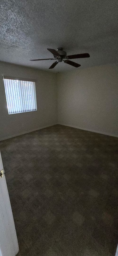 Foto del edificio - 240 Timber Lake Cir