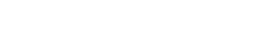 Torino Group Enterprises