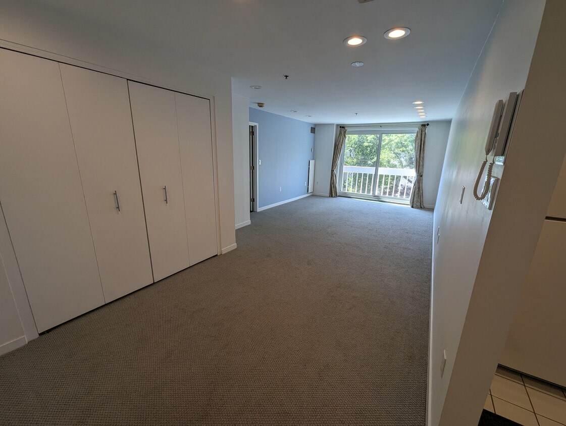 Living Room - 950 Massachusetts Ave
