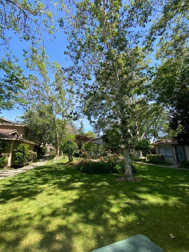 Foto del edificio - 1567 Ivycreek Cir