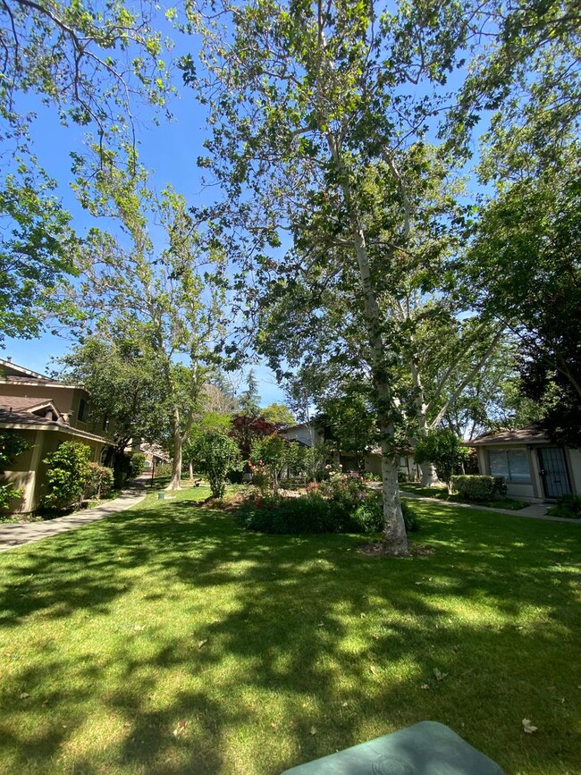 Photo - 1567 Ivycreek Circle House