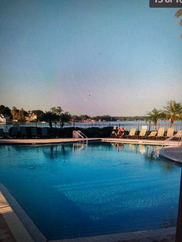 13686 Orange Sunset Dr Unit 101, Tampa, FL 33618 Condo for Rent in