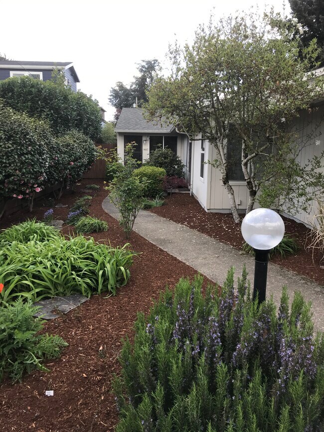 Front Yard - 4605 SE 35th Place (front)