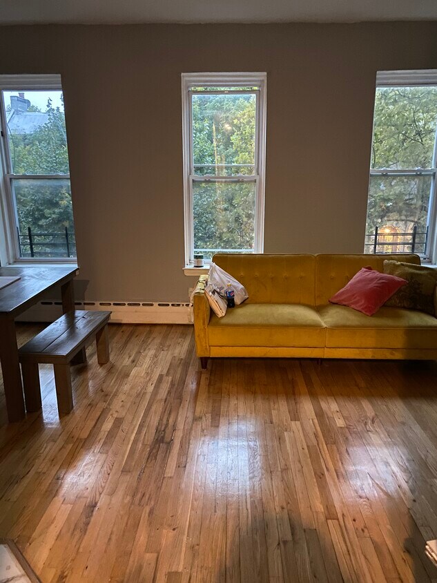 Living Room - 295 Stuyvesant Ave