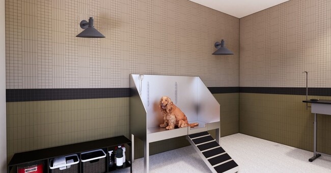 Pet Wash - Ravine Ridge
