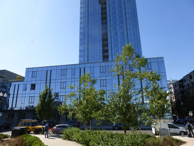 Exterior looking from the Feilds Park - The Cosmopolitan