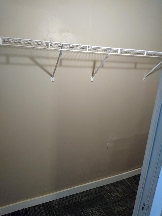 Bedroom walk in closet - 209 Chemung St