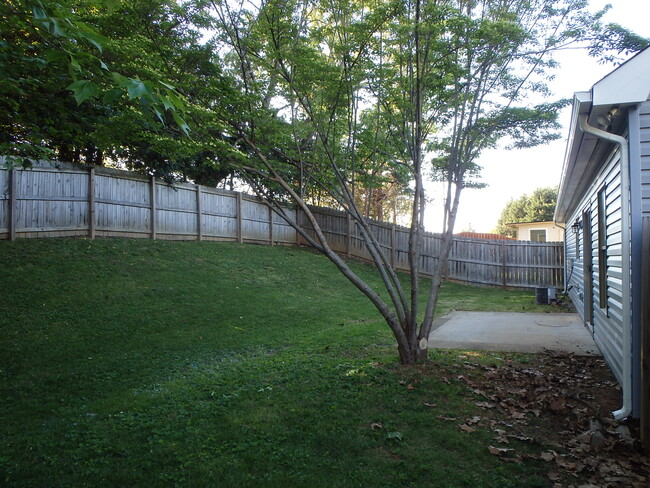 Fenced Back Yard - 911 Claybrook Ct