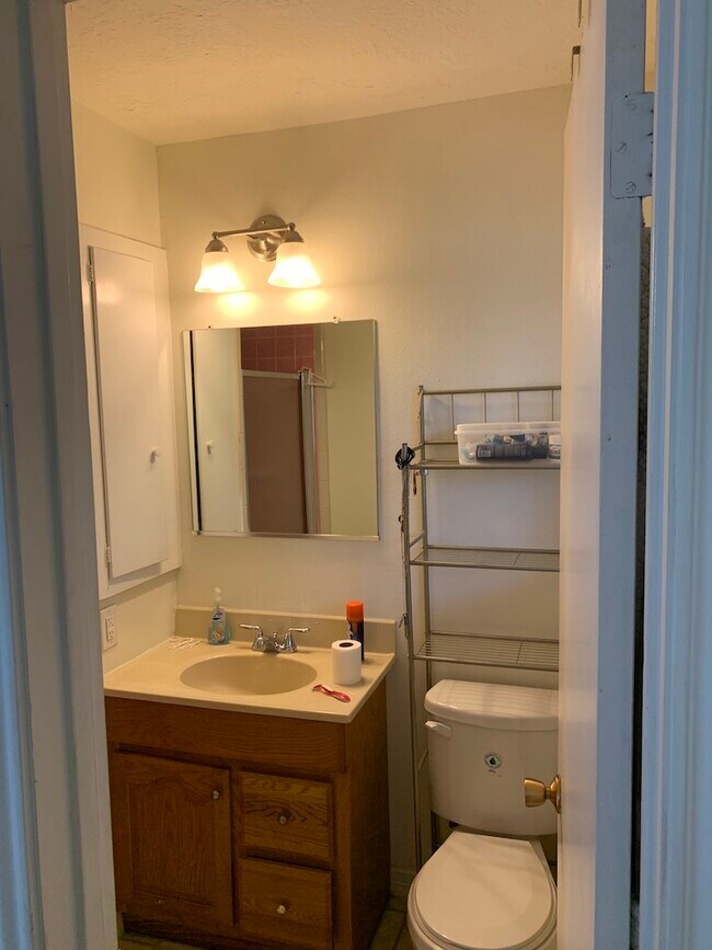 Baño principal - 5005 Ash Ct