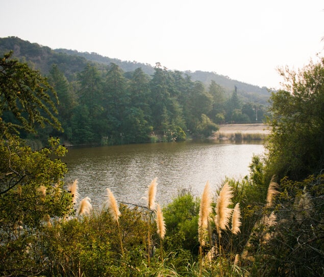 Lake between the mountains in Franklin Canyon Park