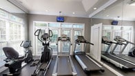 This fitness center is a thoughtfully designed, single-level space offering a comprehensive range of exercise equipment to accommodate various workout routines. The room features a tray ceiling with crown molding and recessed lighting, lending a polished, finished appearance uncommon in typical gym environments. A ceiling fan aids in air circulation throughout the space.

Large windows with transom panels line one wall, allowing abundant natural light to fill the room while offering views of surrounding greenery. Full-length mirrors are strategically positioned along multiple walls, visually expanding the space and providing form-checking capability during exercise.

The cardio zone includes multiple treadmills and elliptical trainers, as well as a recumbent bike, all positioned to face the windows. A wall-mounted television enables entertainment during cardio sessions. The strength training area is equipped with a cable crossover machine, a weight bench, stability balls, medicine balls, and a rack of kettlebells and dumbbells. Instructional fitness posters are displayed near the free weight area.

Rubber flooring throughout provides durability and safety. A water dispenser and waste station are conveniently located near the entrance. The overall ambiance is bright, clean, and functional, making it a practical and inviting space for daily fitness use.