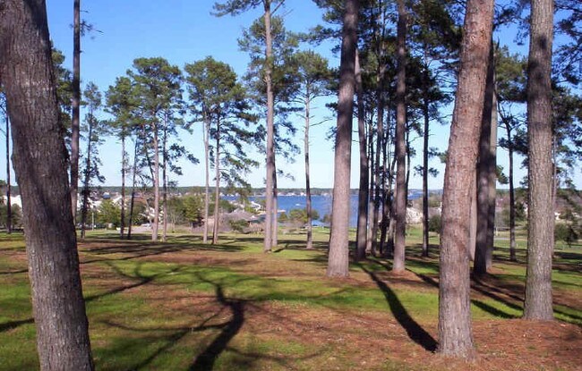 Bonita vista al conducir hacia la unidad - 1404 April Villa W