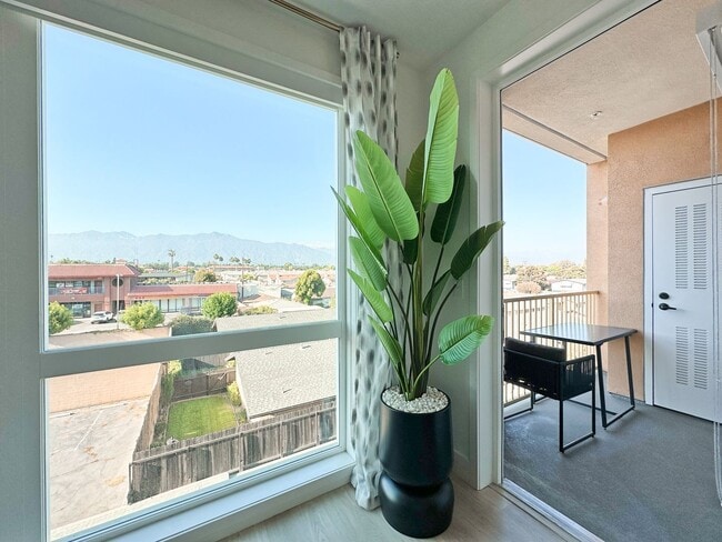 Interior Photo - Begonia Place Luxury Apartments