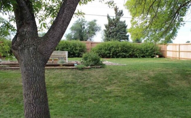 Building Photo - 4709 Windsor Dr. - Rapid City