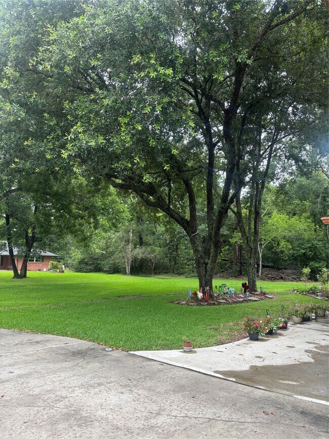 Building Photo - 3118 Timber Ln