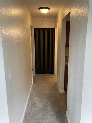 Foto del edificio - 4783 Violet Rd