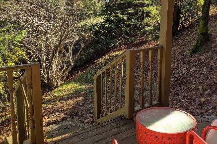 Building Photo - 50 Tall Pines Ct