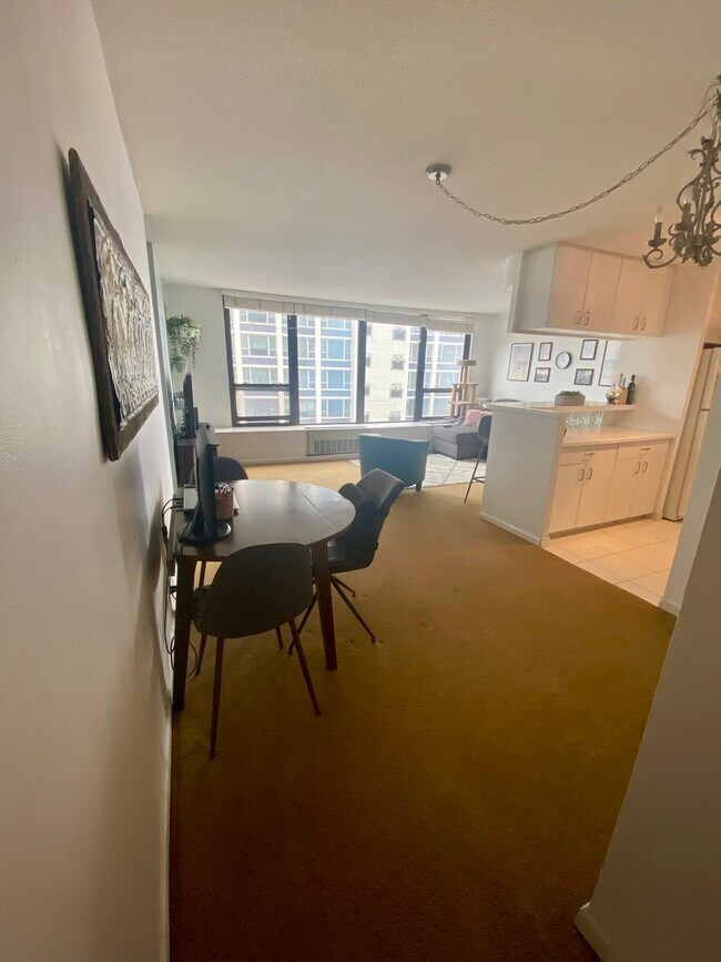 1313 N Ritchie Ct Unit 1006, Chicago, IL 60610 Condo for Rent in