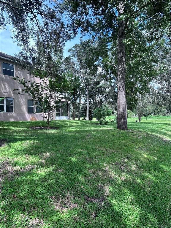 Building Photo - 1531 McCrea Dr