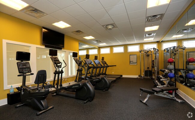Gimnasio - Stonegate