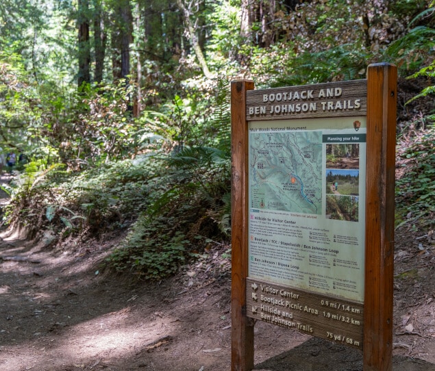 The Muir Woods National Monument is a notable landmark in the Bay Area.