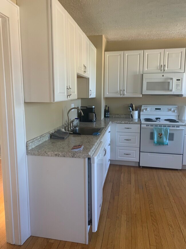 Enter kitchen from driveway - 23 Paris Rd