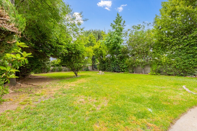 Backyard - 730 W Howard St
