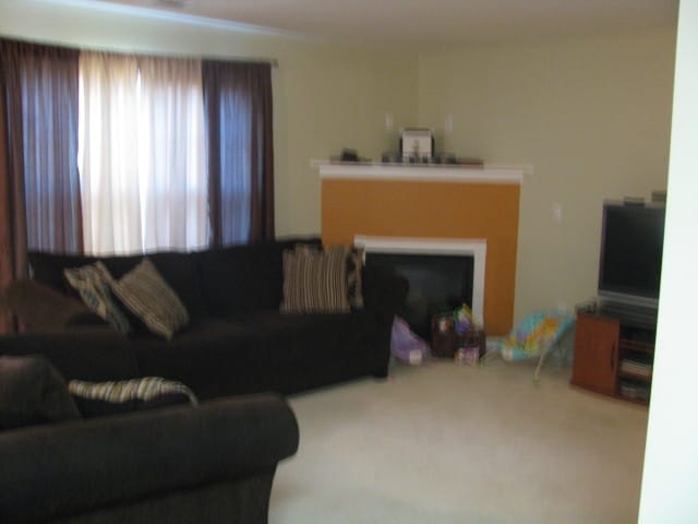 Photo - 300 Fieldview Ln Townhome