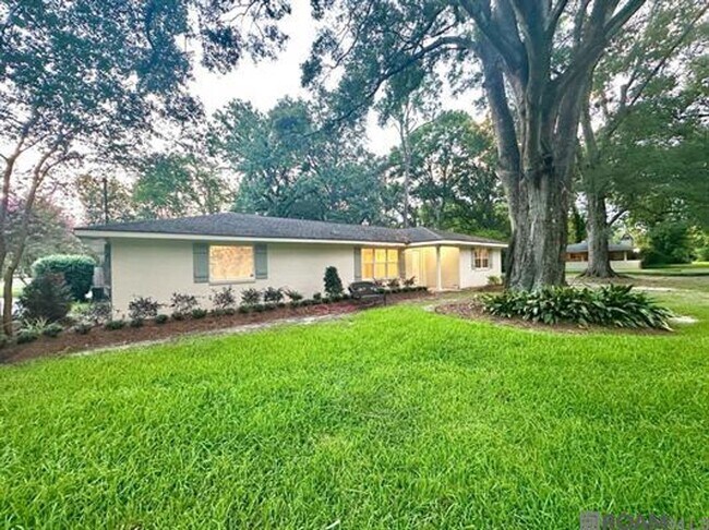 Foto del edificio - 415 Magnolia Wood Ave