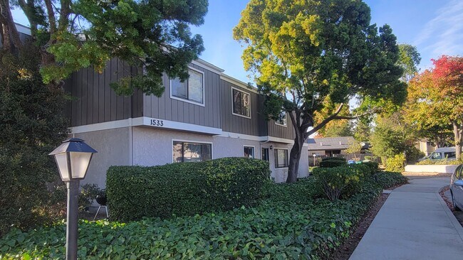 Building Photo - 1533 El Tigre Ct