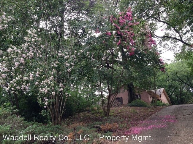 Building Photo - 3601 Willow Bend Run