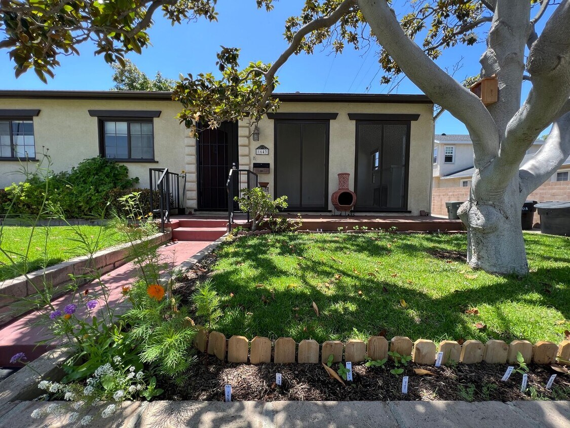 Primary Photo - Acacia Ave.
