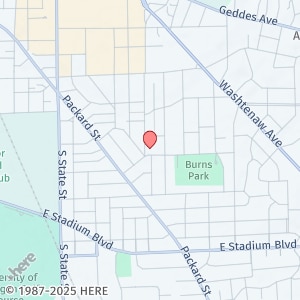 1145 S. Forest-1145SF - 1145 S. Forest-1145SF Apartment