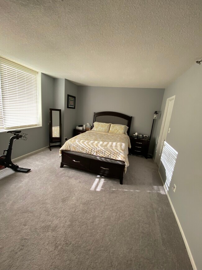 Master Bedroom - 3713 S George Mason Dr