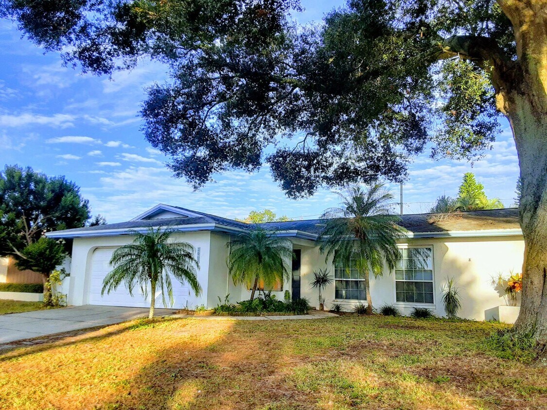 2662 Pinewood Dr, Dunedin, FL 34698 House Rental in Dunedin, FL