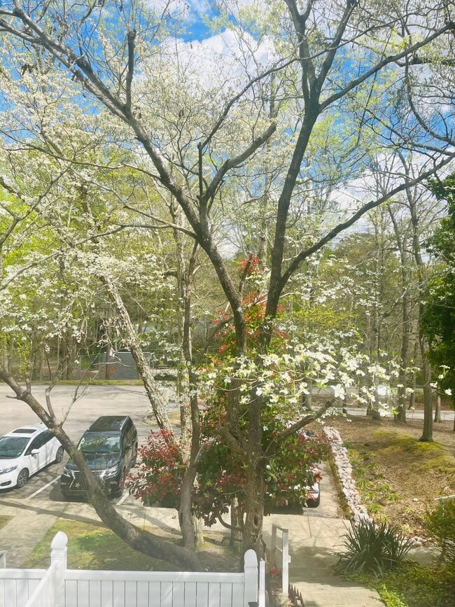 Outdoor Landscaping - 7119 Sandy Creek Dr