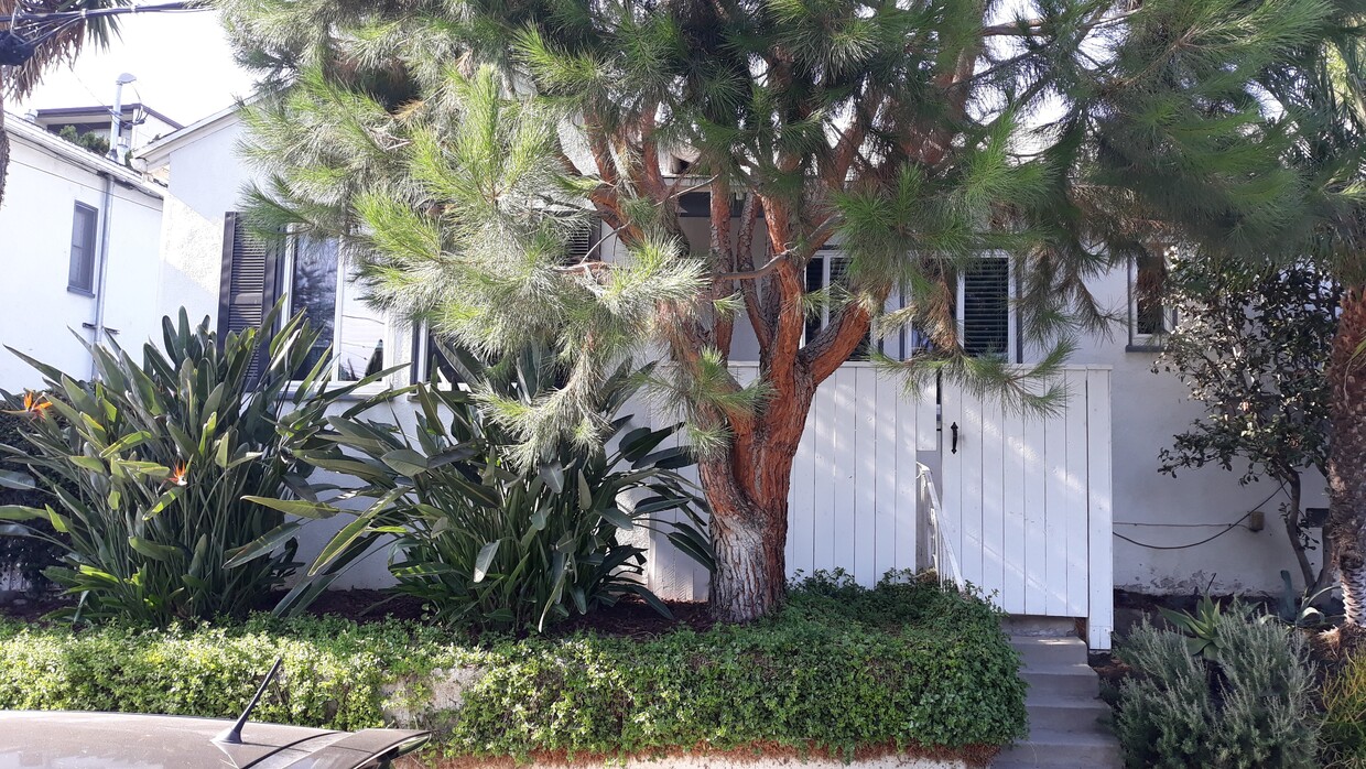 Front View - 3949 Veselich Ave