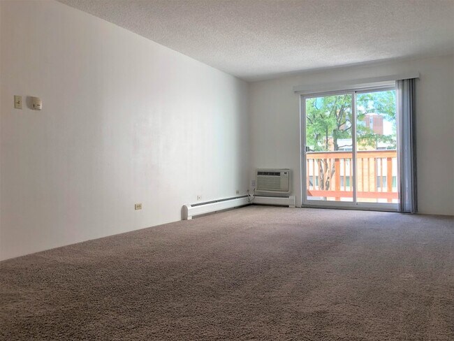 Building Photo - Water and Gas Included in Denver Condo