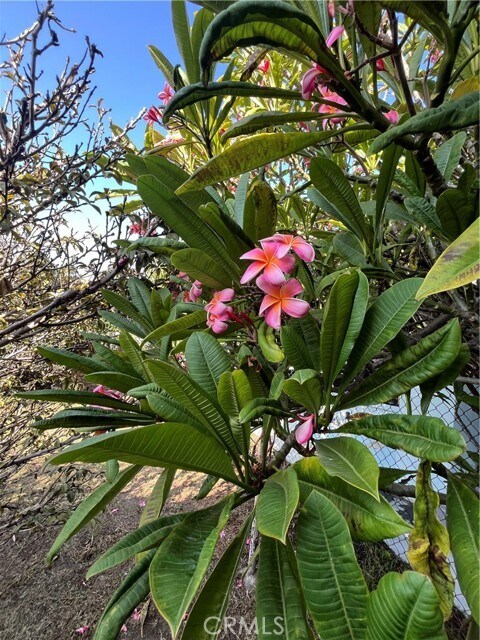 Foto del edificio - 1355 W 49th St