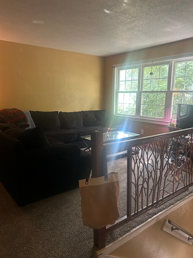 Foto del edificio - 730 Meadow Springs Ct